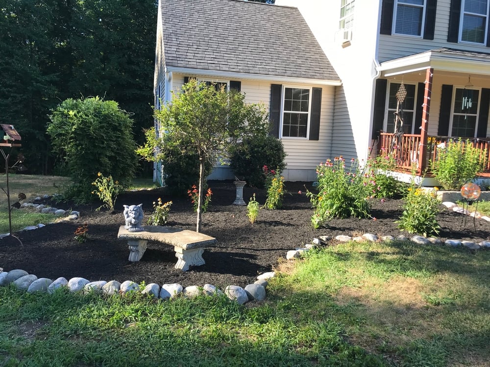 Garden with bench on mulch
