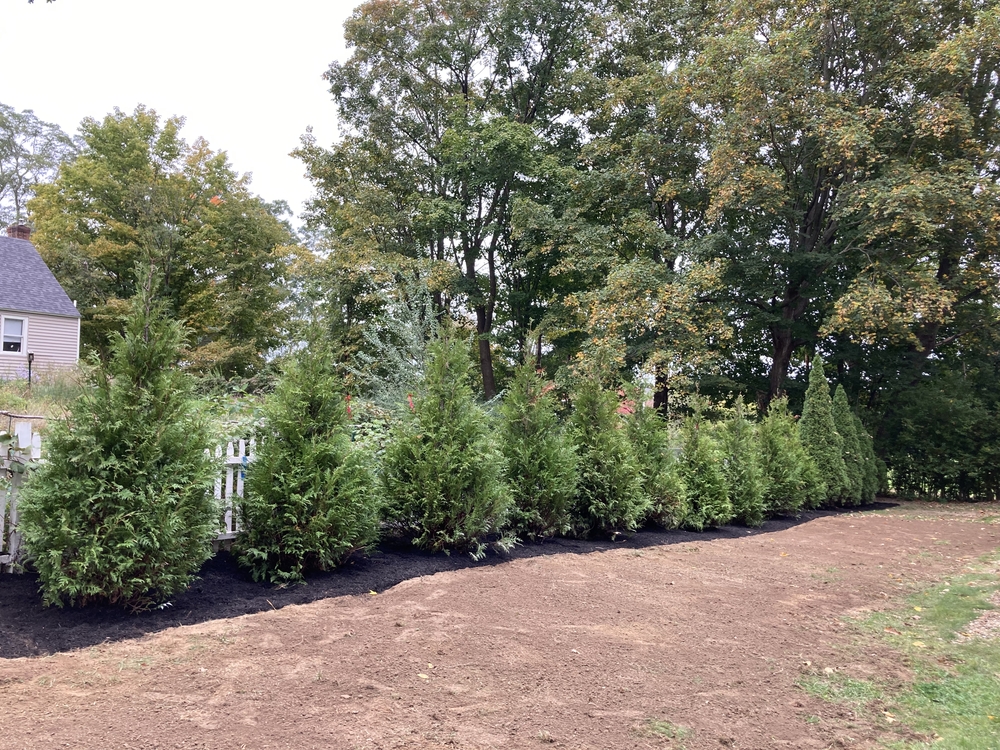 Natural Privacy Screen